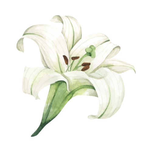 fleursdelys