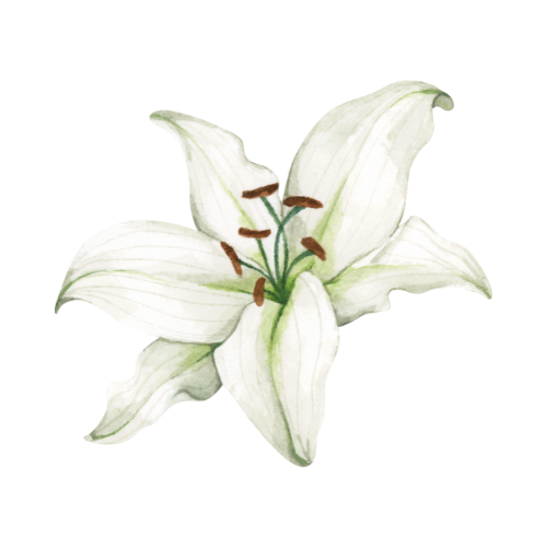 fleurdelys